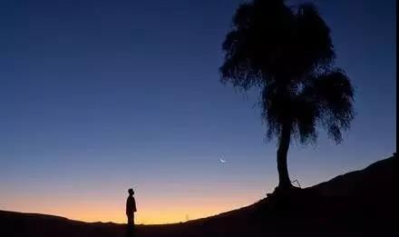 顶生王故事经