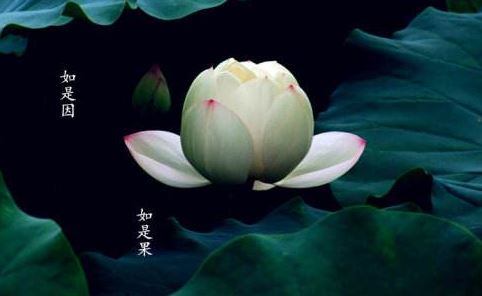 佛说兴起行经