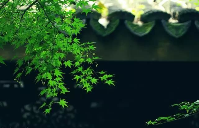 佛说五十颂圣般若波罗蜜经