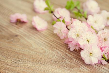 佛说菩萨行方便境界神通变化经