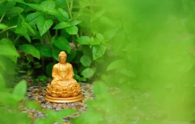 佛说菩萨本业经