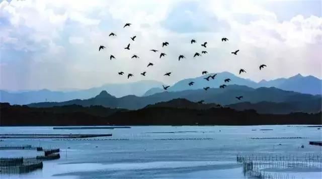 慧上菩萨问大善权经