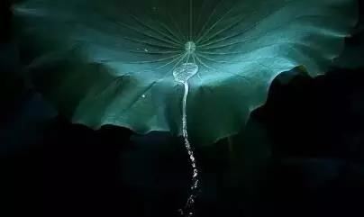 佛说不思议功德诸佛所护念经