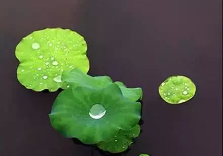 思益梵天所问经