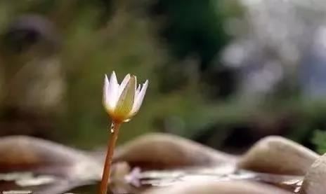 思惟略要法