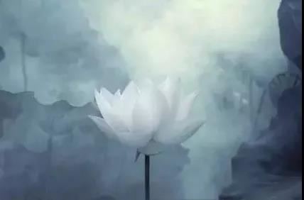 观察诸法行经