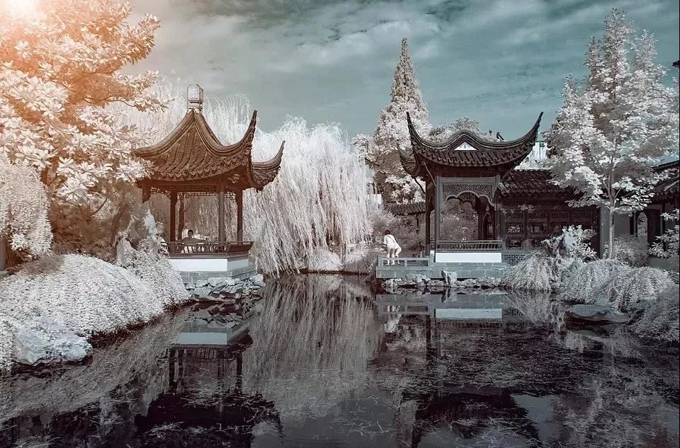 佛说入无分别法门经