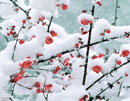 缘起圣道经