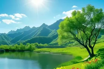 佛说骂意经