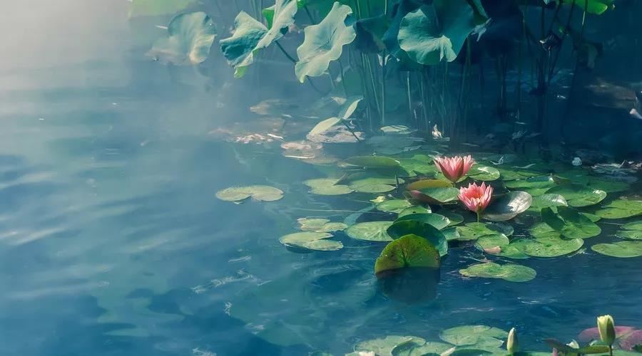 金刚顶一切如来真实摄大乘现证大教王经