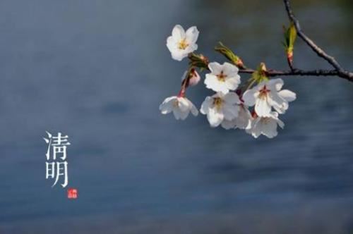 佛说大乘圣无量寿决定光明王如来陀罗尼经