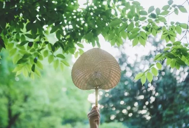 大佛顶如来密因修证了义诸菩萨万行首楞严经
