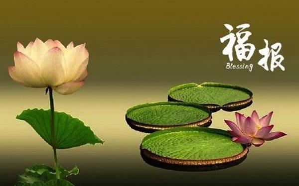 佛说七俱胝佛母准提大明陀罗尼经