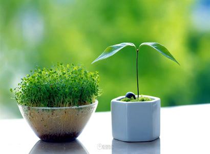 大正新修大藏经第20册No.1196曼殊室利菩萨吉祥伽陀