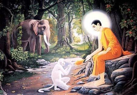 佛说华积陀罗尼神咒经