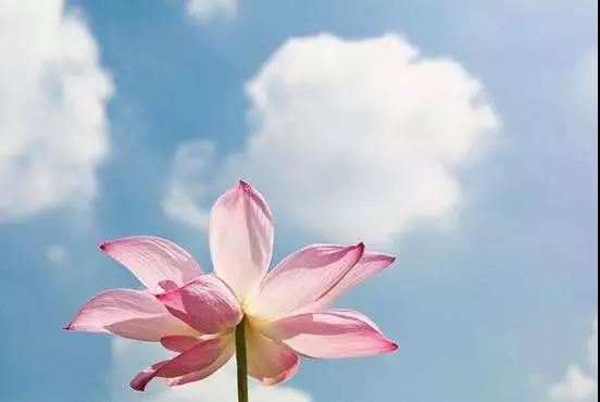 四谛论