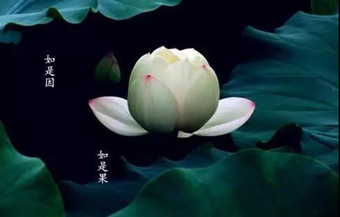 菩提心观释