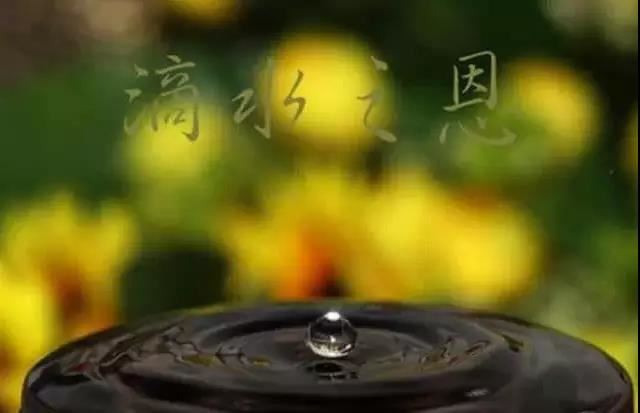 金刚经纂要刊定记