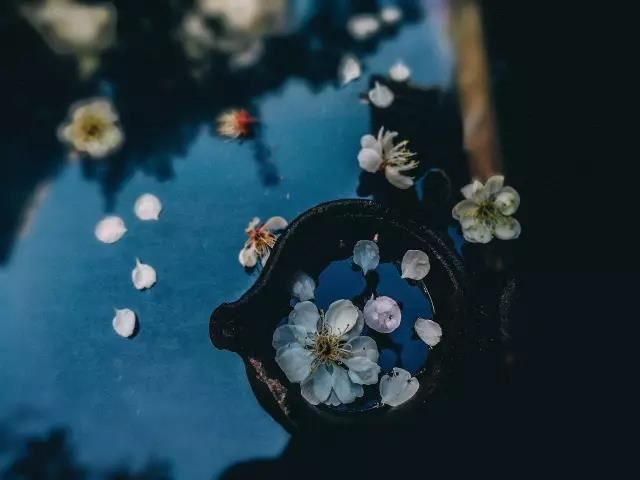 阿弥陀经义述