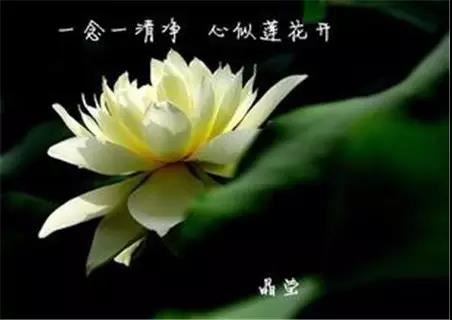 阿弥陀经疏