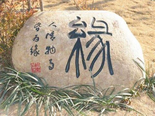 俱舍论颂疏论本