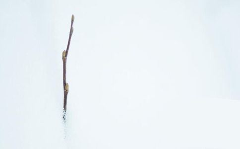 高王观世音经