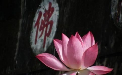 嘉兴藏第38册No.B425即非禅师全录
