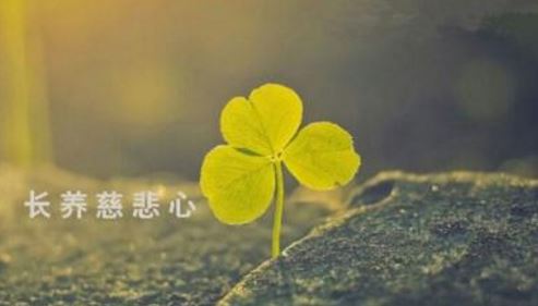 卍新纂续藏经第08册No.0240华严纲要(第1卷-第44卷)