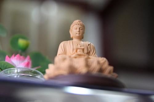 卍新纂续藏经第18册No.0334楞伽经心印