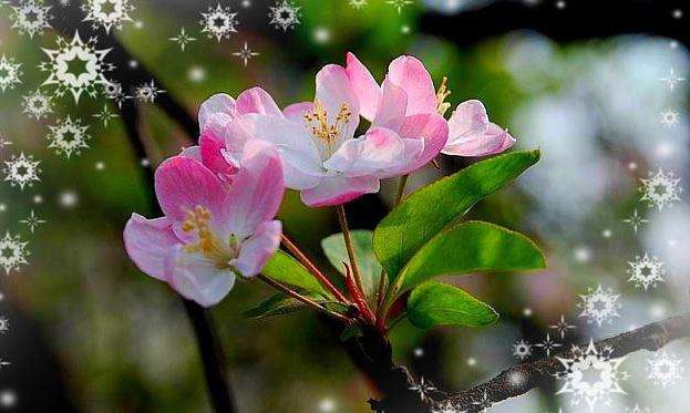 卍新纂续藏经第49册No.0812成唯识论了义灯记