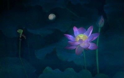 卍新纂续藏经第88册No.1651玄奘三藏师资传丛书